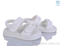 Clibee-ShoSho ZB170-2 фото
