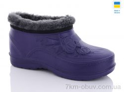 Progress Гіпаніс ГЖ 38 фіолетовий фото