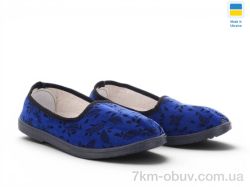 Rai shoes Листок синій фото