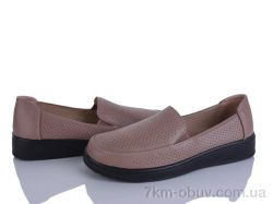 Lion-Lu 2024-27 фото