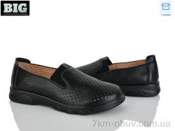 BIG D1011-2 фото