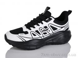 Ditof B0070-3 чорно-білий фото