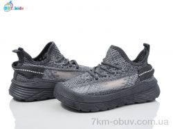 BBT F581-2-2 фото