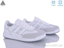 STILLI Group AX60-2 шкіра фото