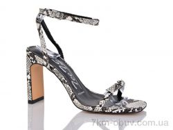 Teetspace-Trasta-Egga LL1758-73 фото