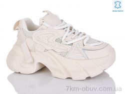 Teetspace-Trasta-Egga WDP1810-118 фото