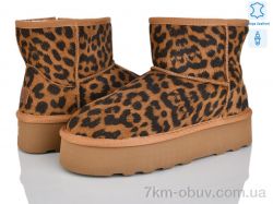 Мир 4224-5854 camel фото