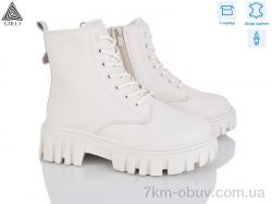 STILLI Group TM640-2 шкіра фото