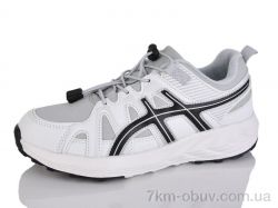 Moli B8023-1 фото