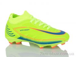 ASHIGULI 551-V фото