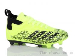 ASHIGULI 265-V фото