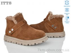 ITTS N055-45 фото