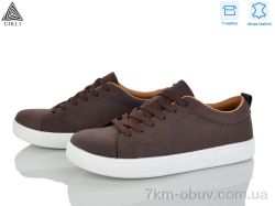 STILLI Group L270-1 шкіра фото