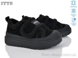 ITTS KT99-1 фото