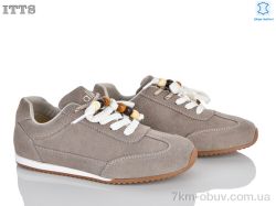 ITTS SV258-D фото