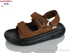 GFB-Канарейка R83-2 фото