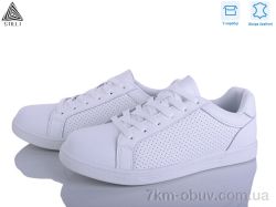 STILLI Group L160-1 шкіра фото