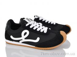 Loretta K040 фото