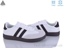 STILLI Group L2450-2 шкіра фото