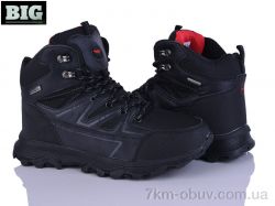 BIG A9018-2 фото