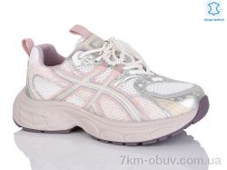 Teetspace-Trasta-Egga WD1808-26 фото