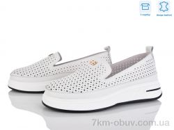 L&M-Lemon PL16-5 фото