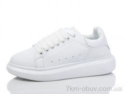 Ditof B0028-2 фото