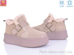 PLPS 6805-3 фото