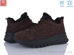 PLPS S650-3 фото