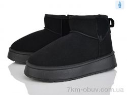 Lion-Lu CL2316 фото