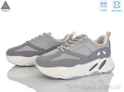 STILLI Group C60-8 шкіра фото