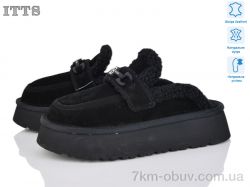 ITTS BY080-1 фото