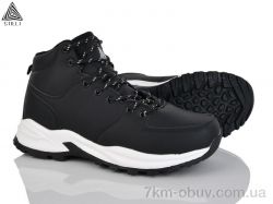 STILLI Group H770-6 фото