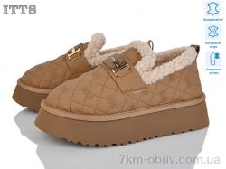 ITTS F256-3 фото