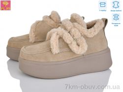 PLPS 6803-3 фото