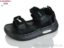 GFB-Канарейка T66-1 фото