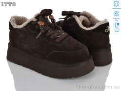 ITTS F501-41 фото