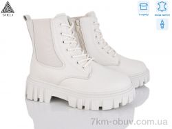 STILLI Group TM650-2 шкіра фото