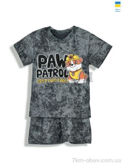 Kir15 221528 сірий фото