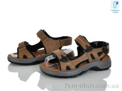 KIMBOO T65-3M фото