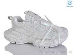 Teetspace-Trasta-Egga WDP1820-26 фото