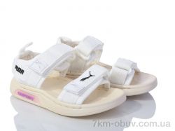 Мир 3647-D6726-7 фото