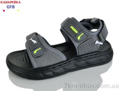 GFB-Канарейка R86-3 фото