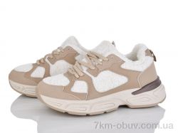 AAPR-Kaker CE22-2 фото