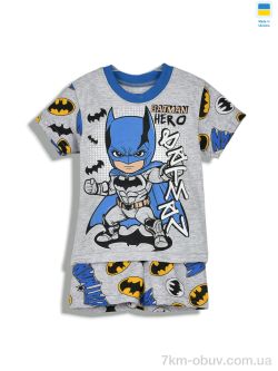 Kir15 221226 сірий фото