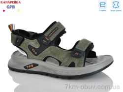 GFB-Канарейка R825-7 фото