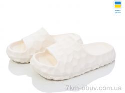 Golden Lion 142 шампань фото