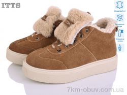 ITTS DD7600-45 фото