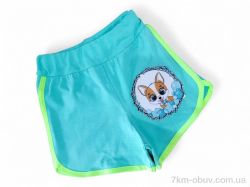 Kids-modnik 1733 бірюзовий фото