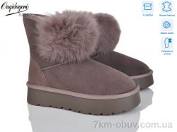 Dageni HA1801-11 фото